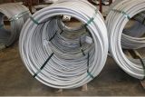 Hexagonal Wire Rod